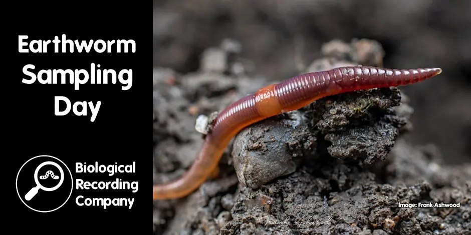 Join Our Earthworm Sampling Day in Greenford