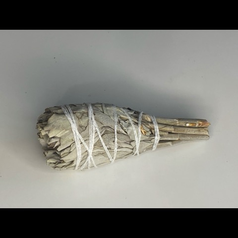 Sauge Blanche Torche 20 Gr