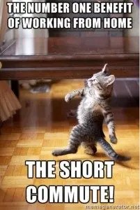 83 Best Work From Home Memes