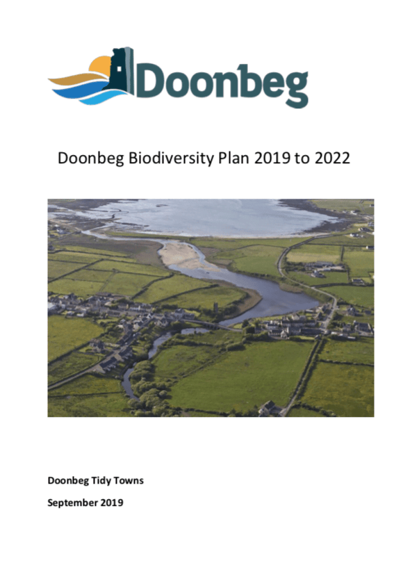 Doonbeg Plan 2019 2022 Actions For BAP 2019 2022 Cover.