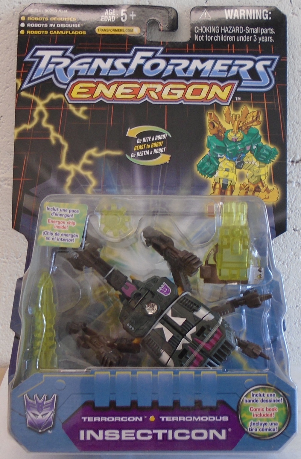 TFEN-10.jpg