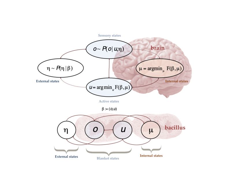 Tutorial On Active Inference Inference Active Free Energy - 4K Dark Pictures for Desktop