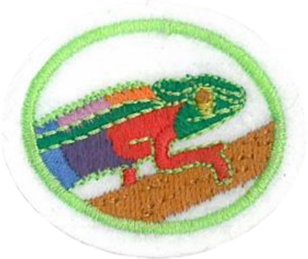 Embroidered patch featuring a colorful chameleon on a branch, set within a circular border.