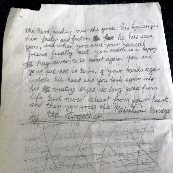 Page 1 of 2 original -"The Rainbow Bridge"