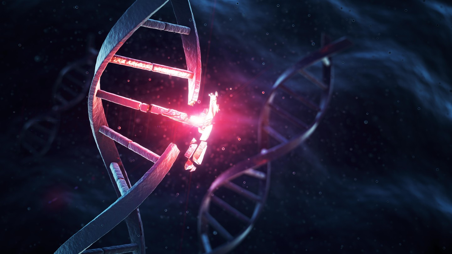 Unraveling the Secrets of Gene Regulation: A Comprehensive Guide (2026)