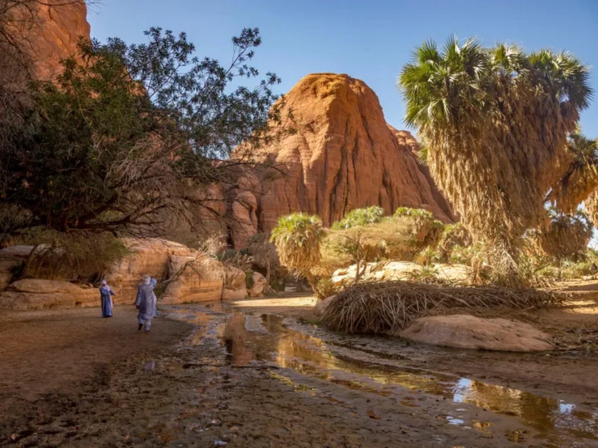 Porté disparu au Tchad, un touriste français retrouvé mort Porté disparu au Tchad, un touriste français retrouvé mort