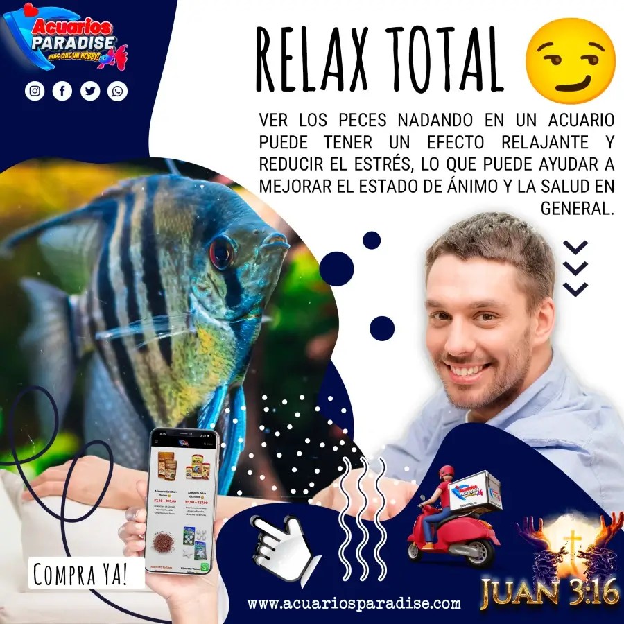 Relax-Total