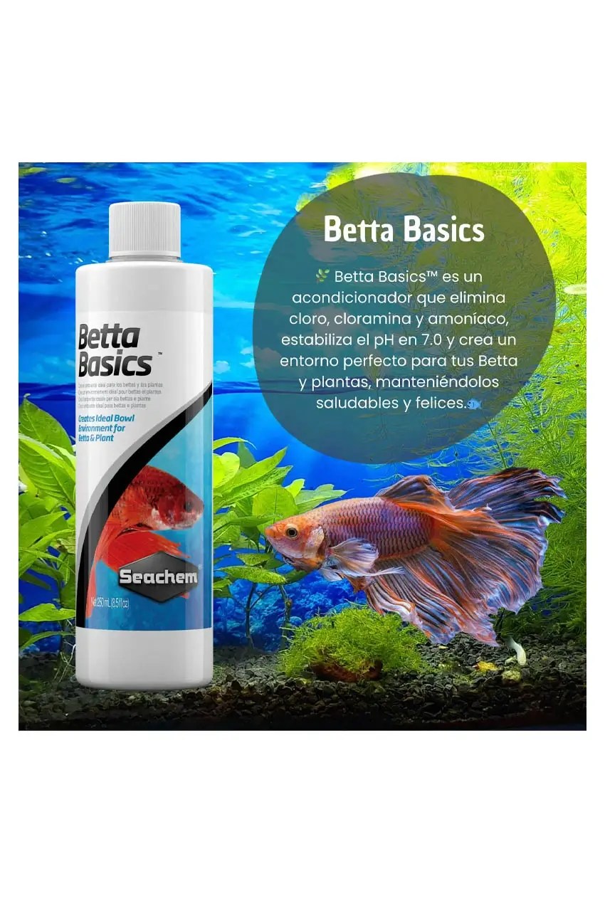 Betta Basics Informativo