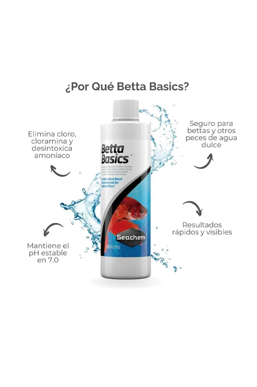 Por qué Betta Basics