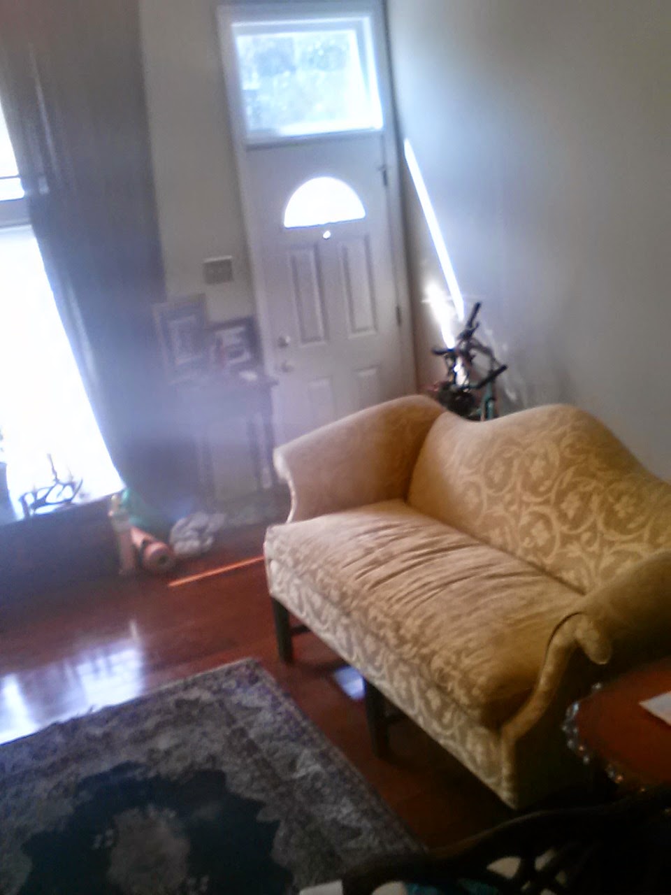 Golden couch wants you to sit!