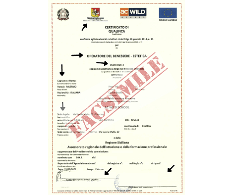Guida Sulla Validità Di Un Attestato » Ac Wild School 394_x_470_png