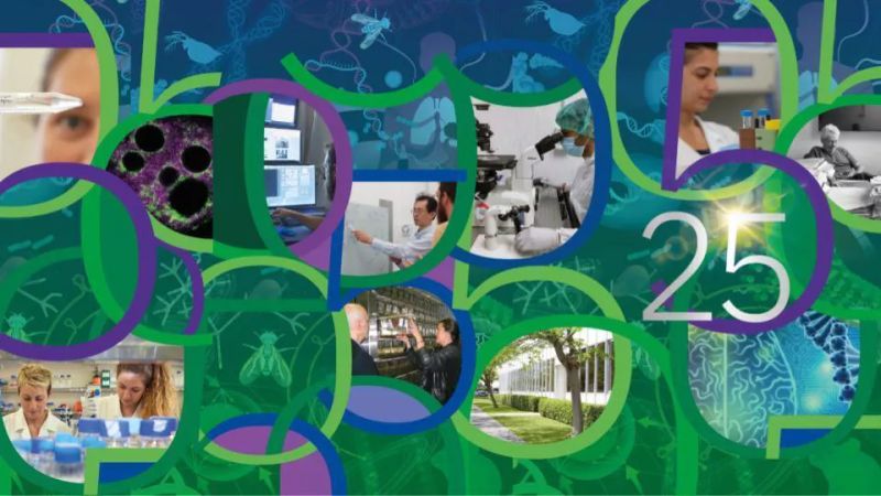 Beyond The Lens Microscopy At Embl Rome Embl - Premium High Resolution Minimal Textures | Free Download