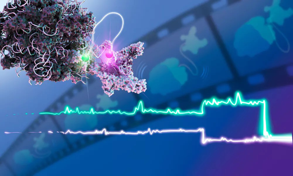 Molecular Systems Biology - Download Beautiful Landscape Design | High Resolution