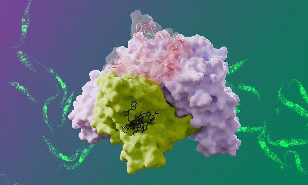 Structural Biology Embl Org - Download Professional Space Wallpaper | Full HD