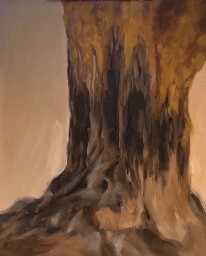 Maple Tree