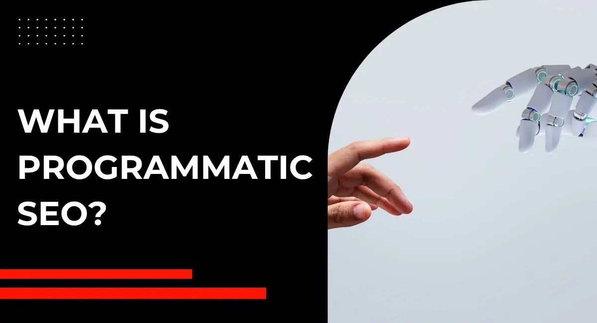 What Is Programmatic SEO