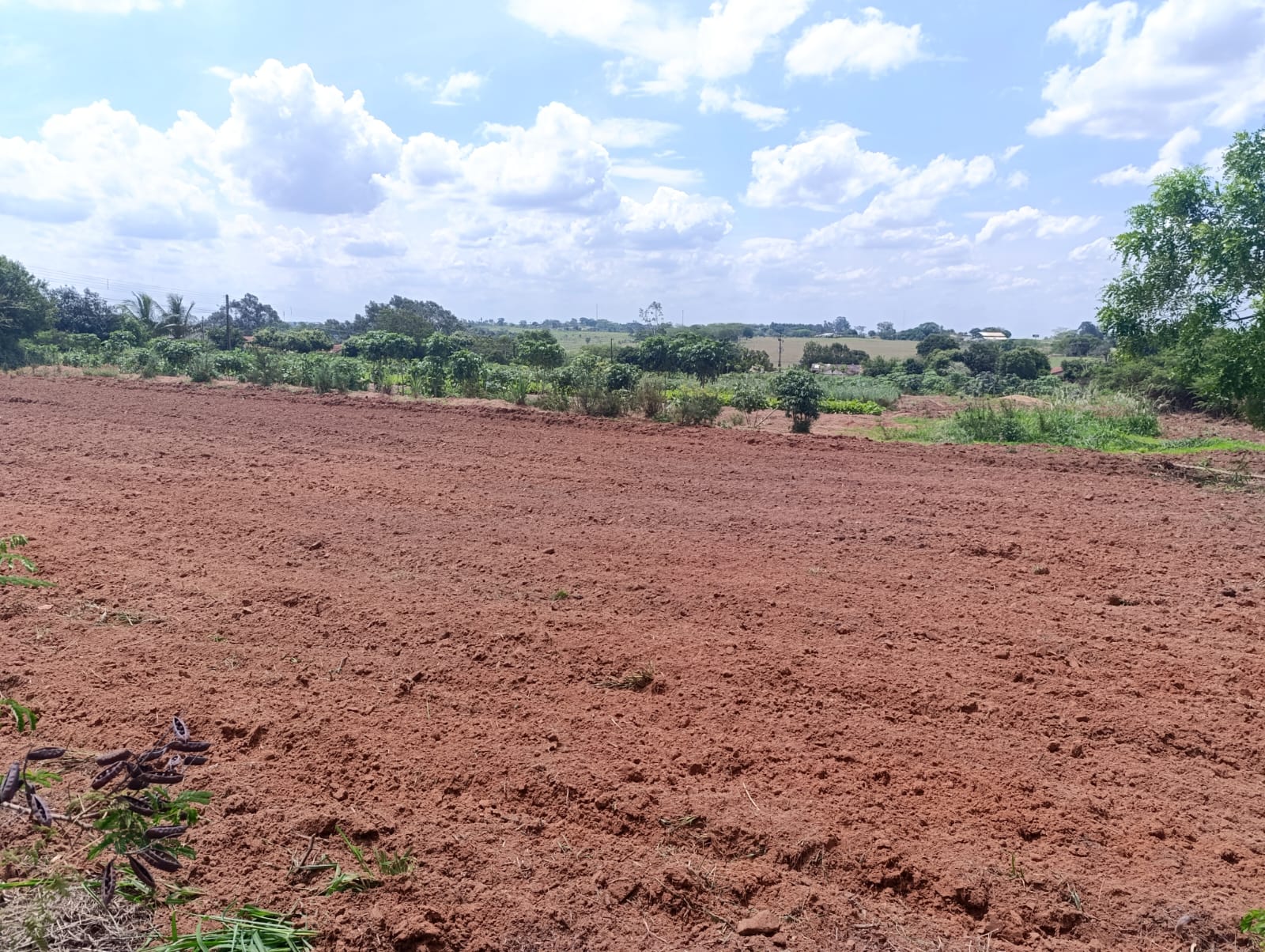Área da Horta Comunitária no Jardim Adamantina recebe visita técnica da Caixa para o Minha Casa Minha Vida