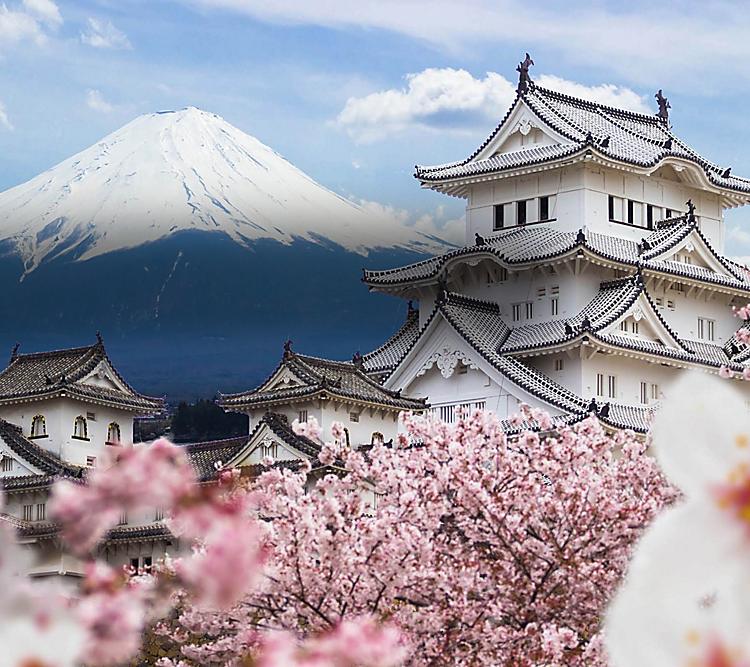 Select from 4303684 premium japan of the highest quality. Japan Financial Advisor Expat Financial Advice Adam Fayed