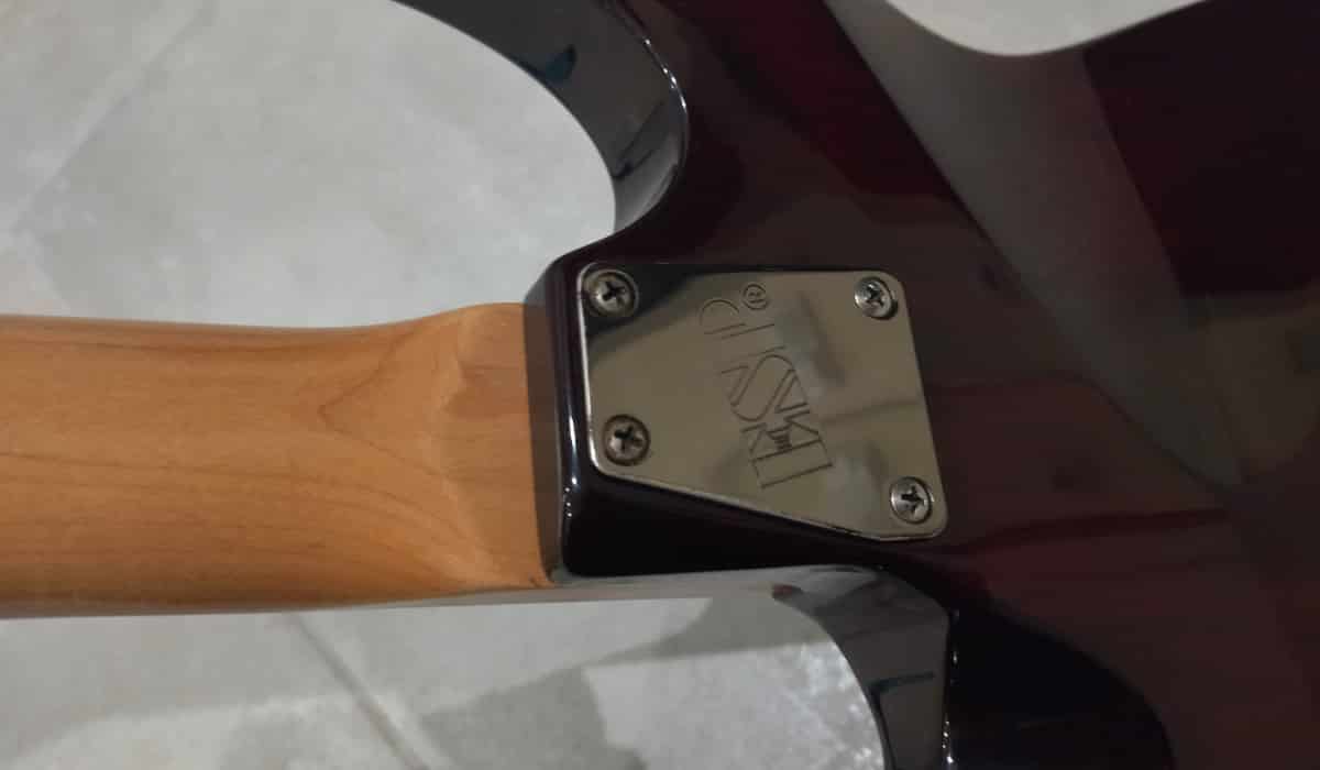 LTD MH-100 QMNT Guitar Review - The Blogging Musician