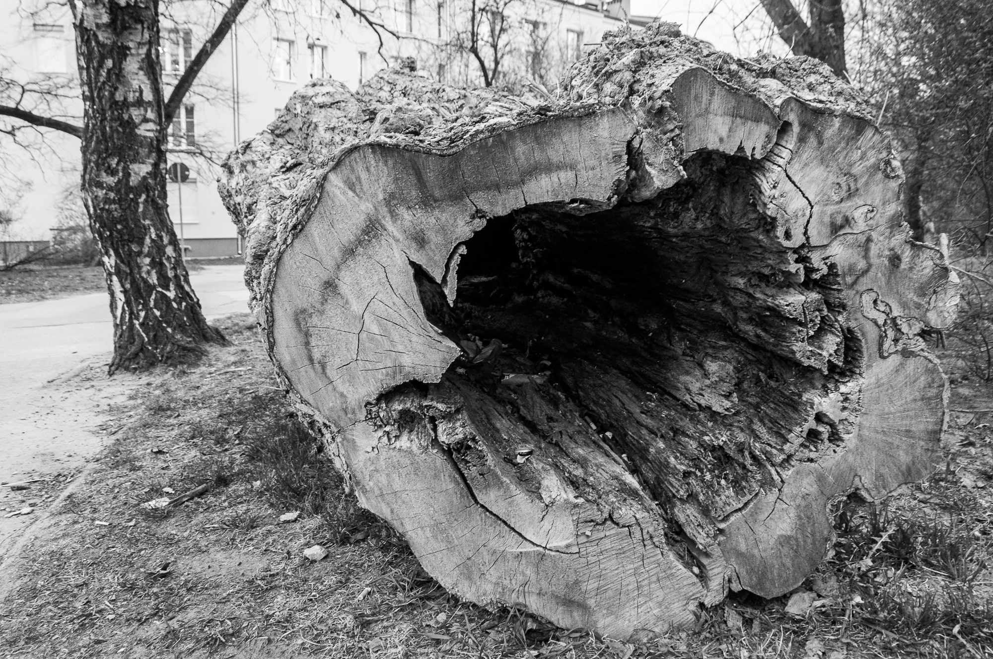 Adam Mazek Photography 2026. Warsaw Street Photography. Post: "Total emptiness." Minimalism.