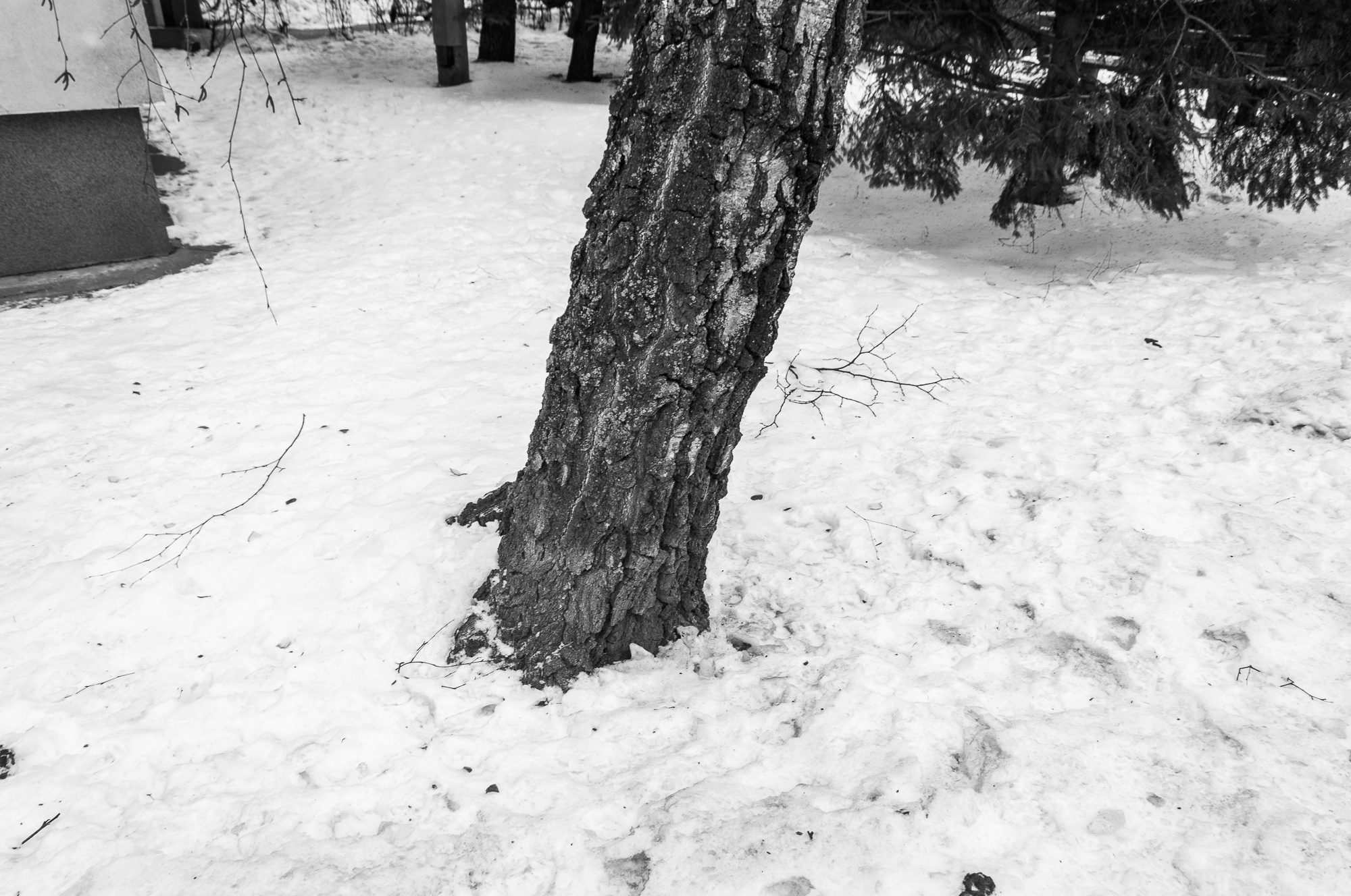 Adam Mazek Photography 2026. Warsaw Street Photography. Post: "Total emptiness." Minimalism.