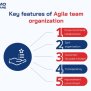 Agile Software Development Team Structure: A Comprehensive Guide