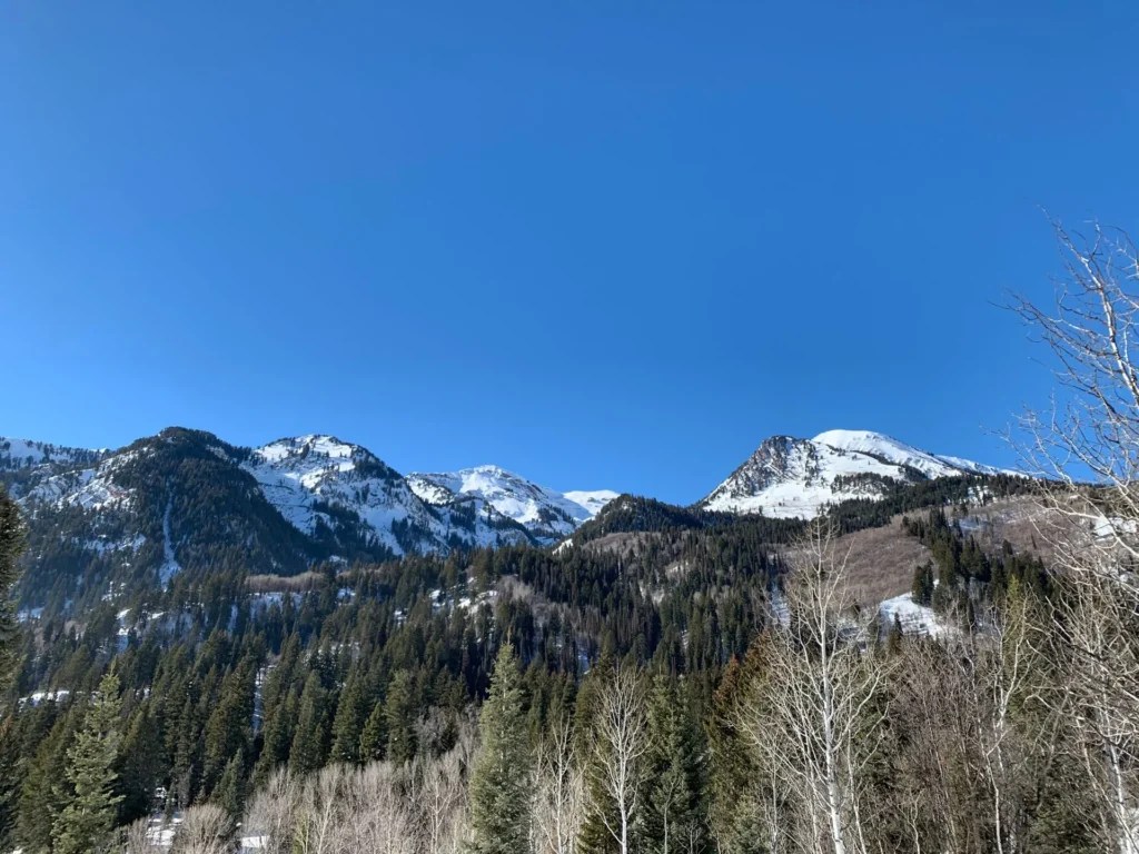 Silver Fork Trail