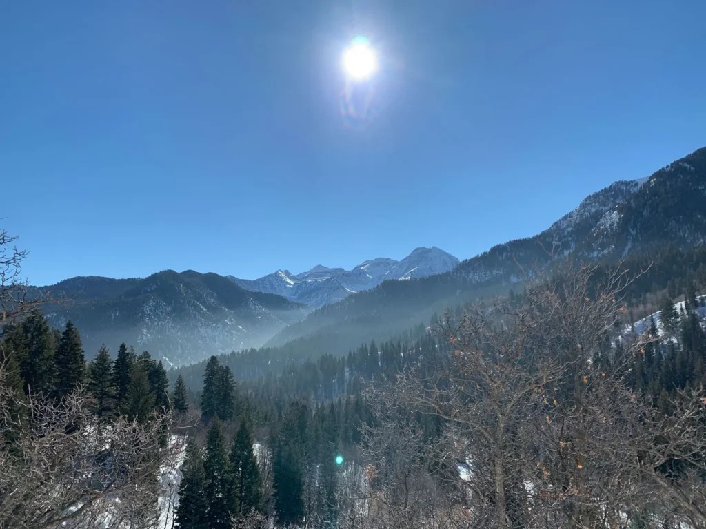 Silver Fork Trail