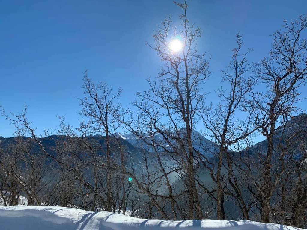 Silver Fork Trail