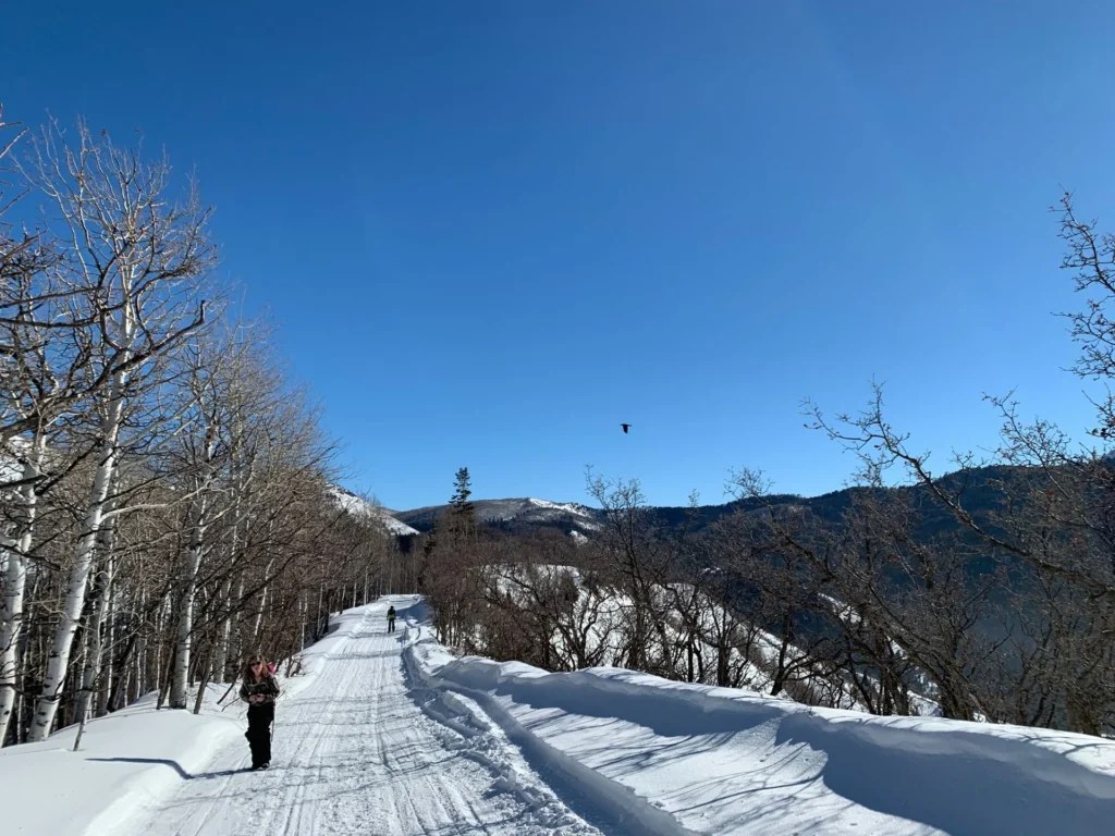 Silver Fork Trail