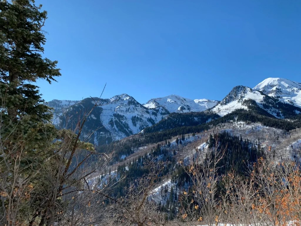 Silver Fork Trail