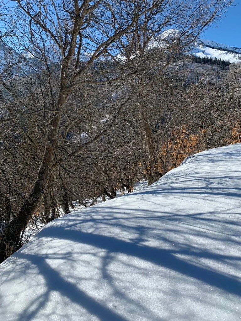Silver Fork Trail