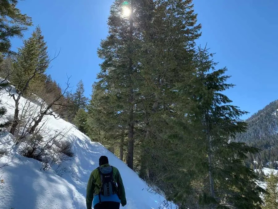 Snowshoeing Mill D North to Dog Lake