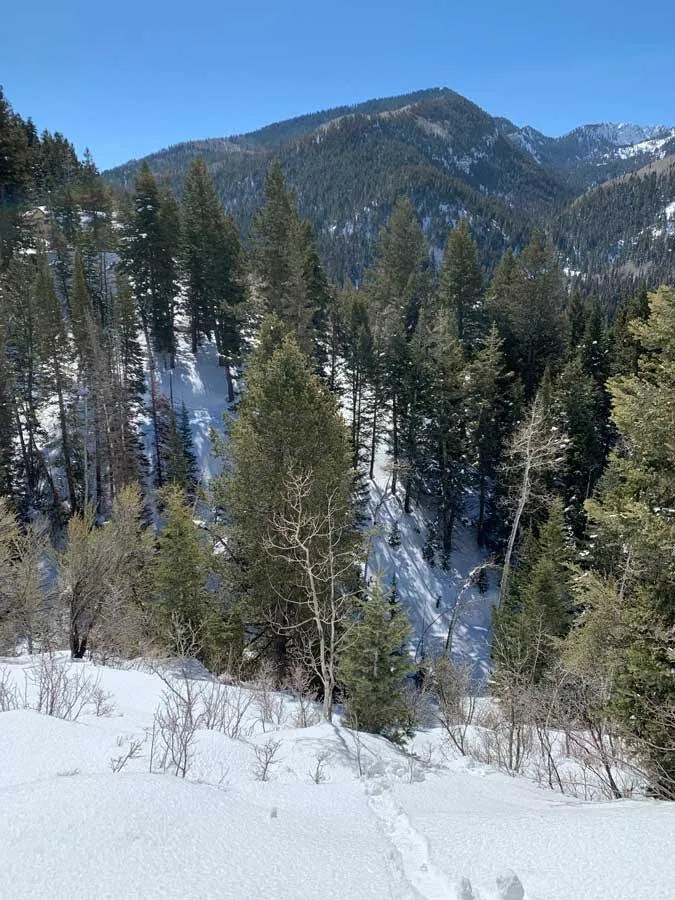 Snowshoeing Mill D North to Dog Lake