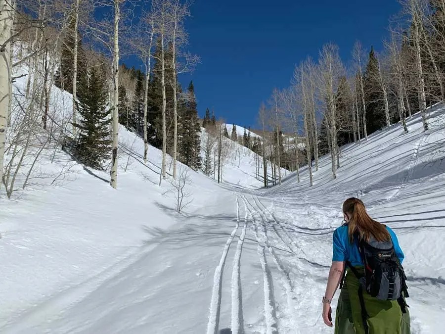 Snowshoeing Mill D North to Dog Lake