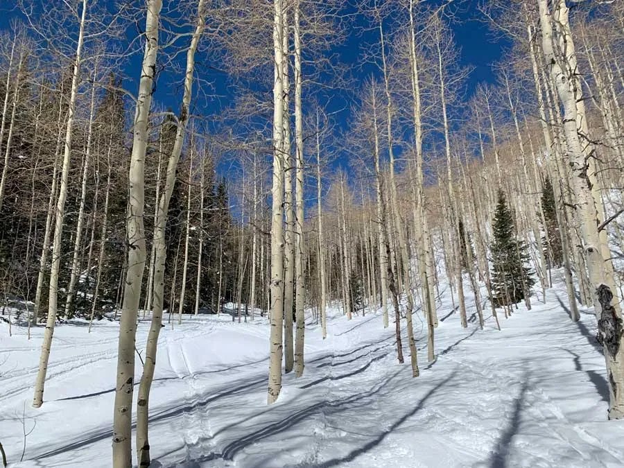 Snowshoeing Mill D North to Dog Lake