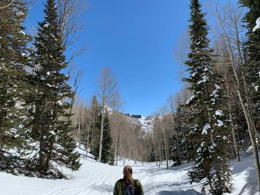 Snowshoeing Mill D North to Dog Lake
