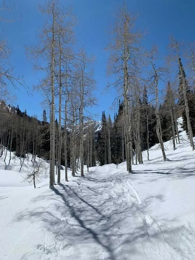 Snowshoeing Mill D North to Dog Lake