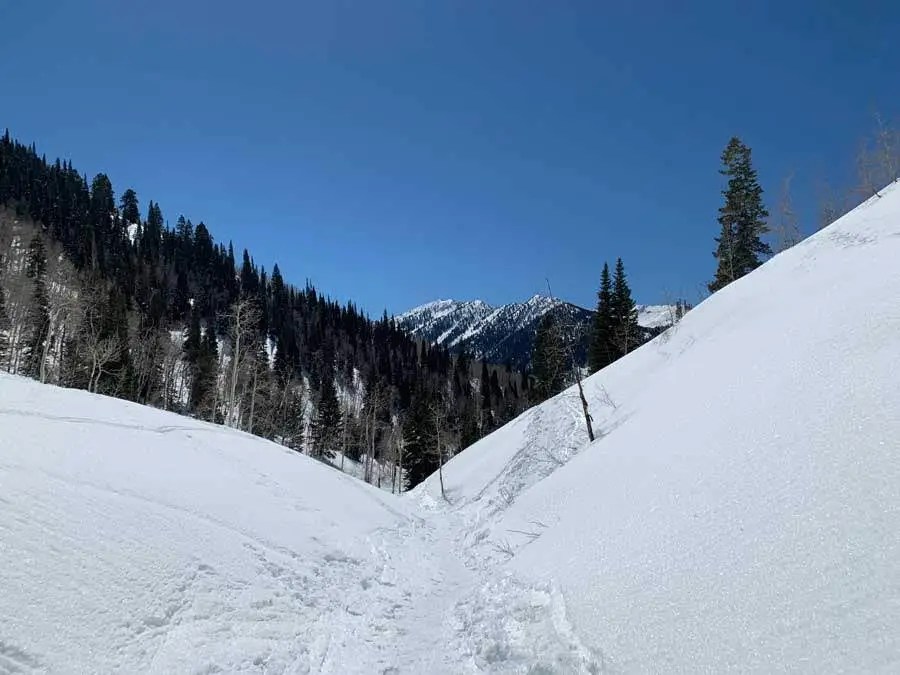 Snowshoeing Mill D North to Dog Lake