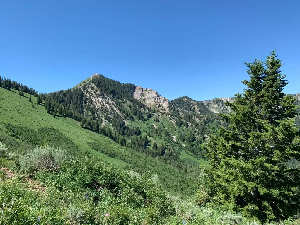 Hiking Bowman Fork to Gobblers Knob Trail