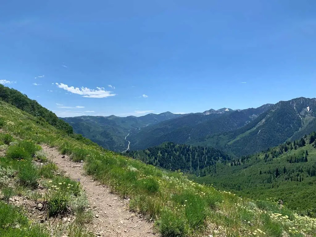 Hiking Bowman Fork to Gobblers Knob Trail