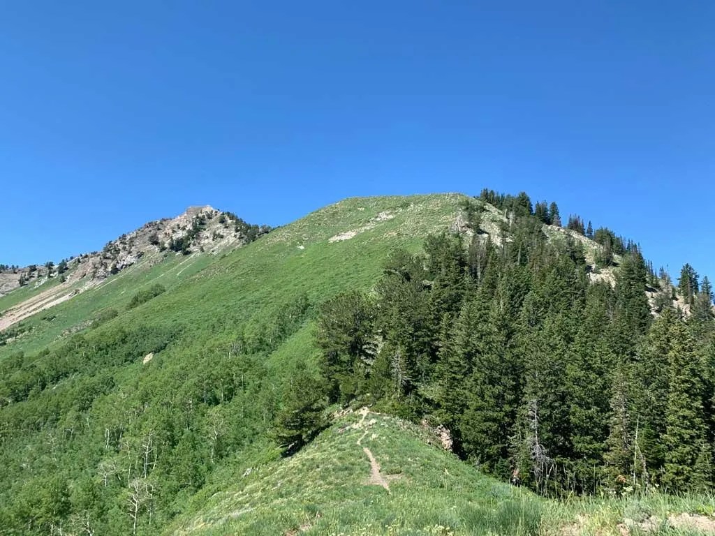 Hiking Bowman Fork to Gobblers Knob Trail