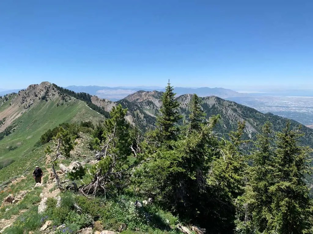 Hiking Bowman Fork to Gobblers Knob Trail
