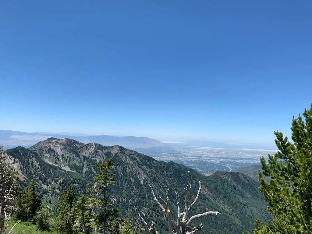 Hiking Bowman Fork to Gobblers Knob Trail