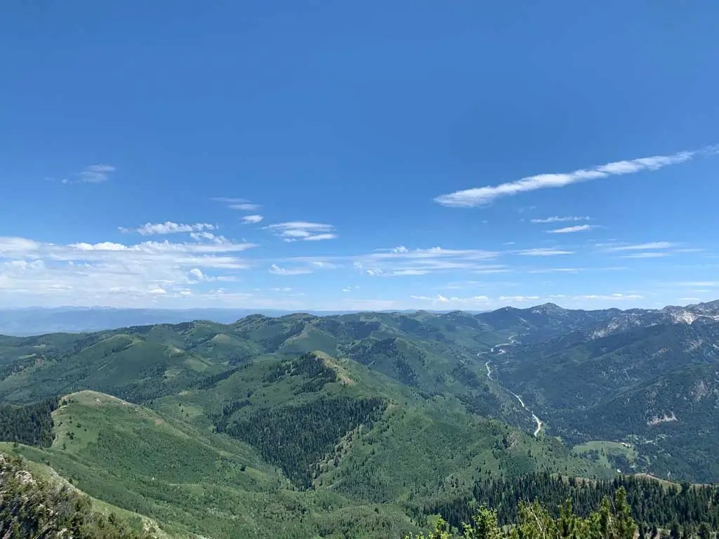 Hiking Bowman Fork to Gobblers Knob Trail