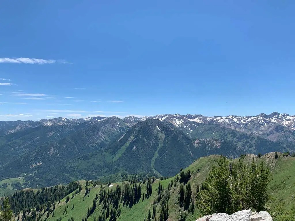 Hiking Bowman Fork to Gobblers Knob Trail