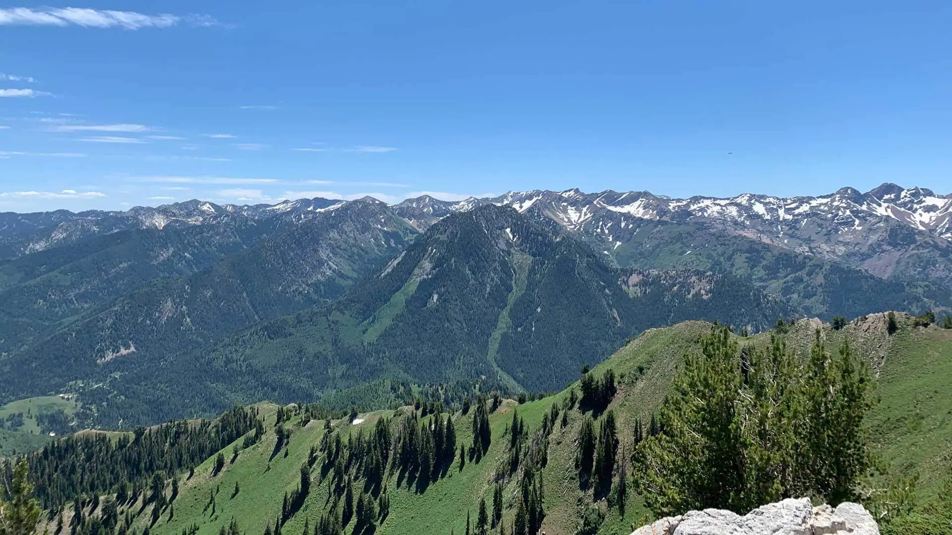 Hiking Bowman Fork to Gobblers Knob Trail