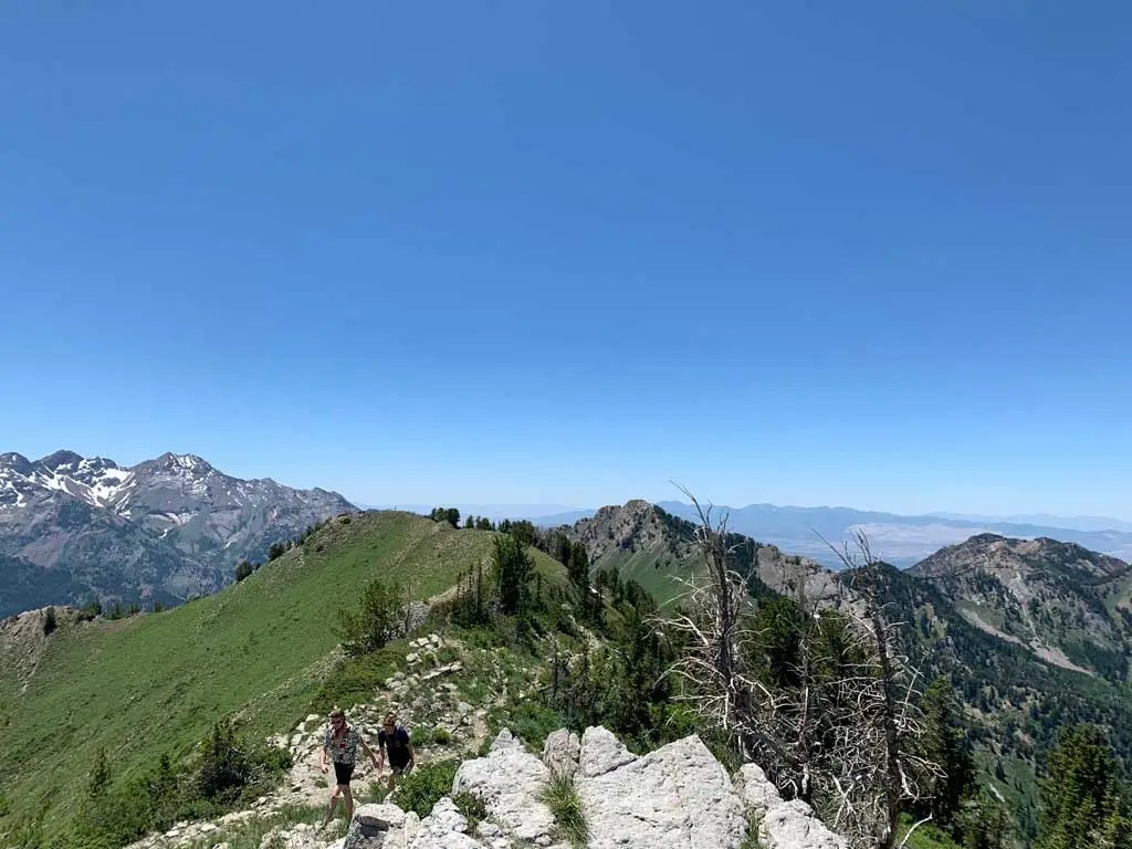 Hiking Bowman Fork to Gobblers Knob Trail