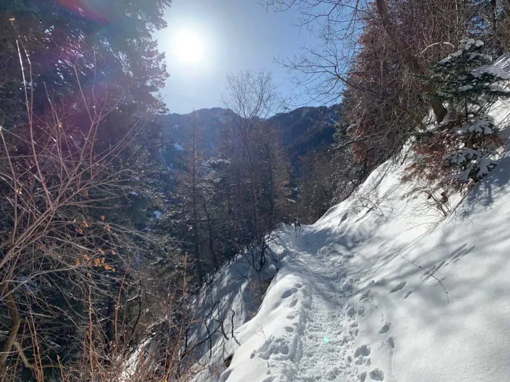 Hiking Church Creek to Pipeline Overlook Trail