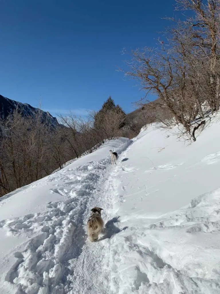 Hiking Church Creek to Pipeline Overlook Trail